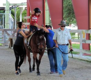 Unmounted horse therapies Unmounted horse therapies